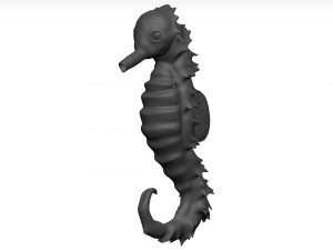Sea Horse 3D Model