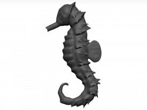 Sea Horse 3D Model