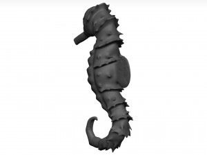 Sea Horse 3D Model