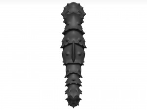 Sea Horse 3D Model