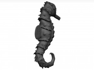 Sea Horse 3D Model