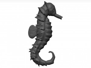 Sea Horse 3D Model