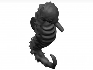 Sea Horse 3D Model