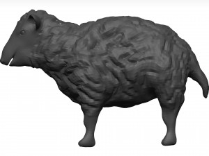 Sheep Model 3D