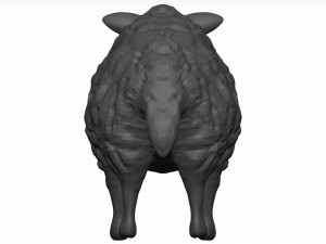 Sheep Model 3D