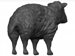 Sheep Model 3D
