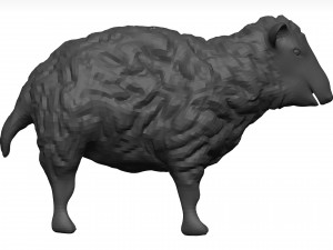 Sheep Model 3D