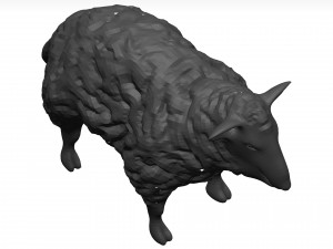 Sheep Model 3D