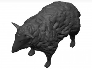 Sheep Model 3D