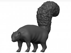 Skunk 3D Модель