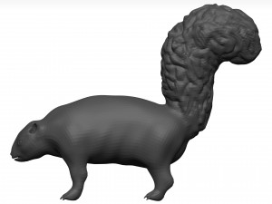 Skunk 3D Модель