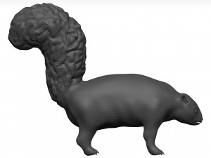 Skunk 3D Модель