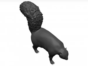 Skunk 3D Model