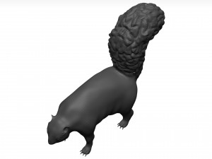 Skunk 3D Модель