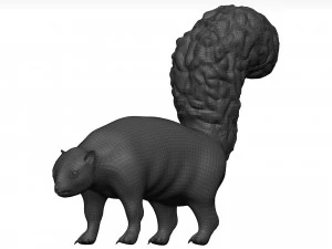 Skunk 3D Model