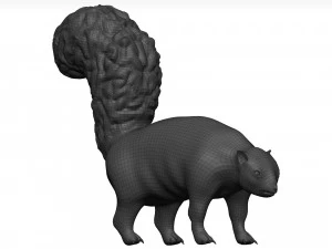 Skunk 3D Model