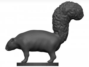 Skunk 3D Model