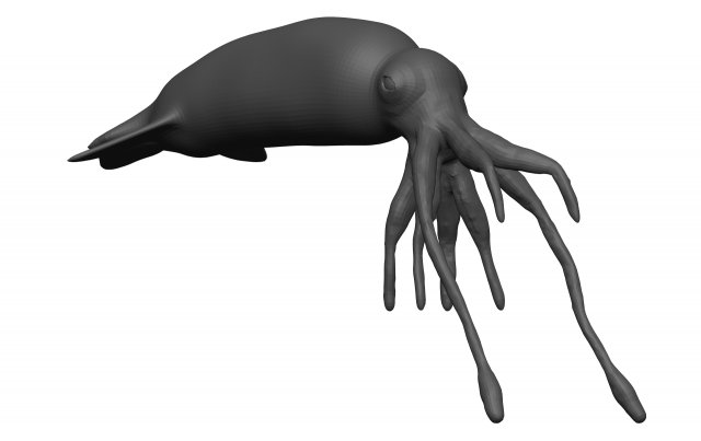 Squid 3D Model .c4d .max .obj .3ds .fbx .stl .blend 
