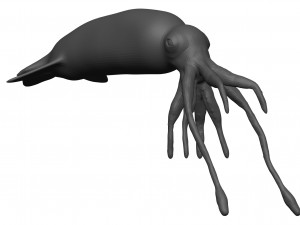 Squid 3D Модель