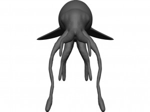 Squid 3D Model