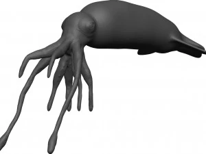 Кальмар 3D Модель