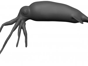 Кальмар 3D Модель