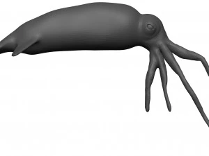 Кальмар 3D Модель