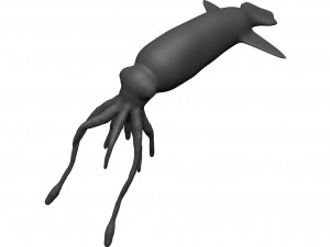 Squid 3D Model