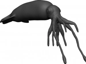 Кальмар 3D Модель