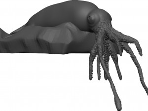 Squid 3D Model