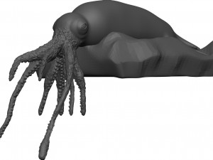 Squid 3D Model