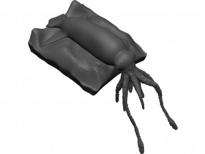 Squid 3D Model