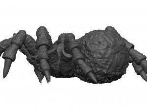 Tarantula Model 3D