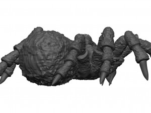 Tarantula Model 3D