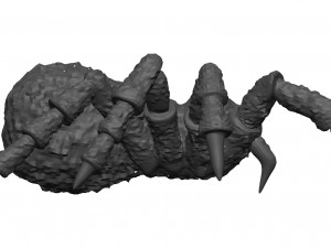 Tarantula Model 3D
