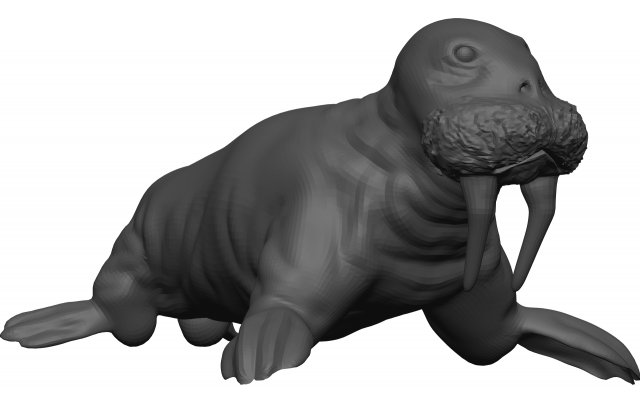 Walrus 3D 모델 .c4d .max .obj .3ds .fbx .stl .blend 