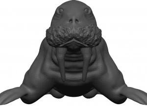 Walrus 3D Model