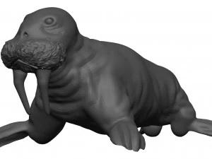 Walrus 3D Model