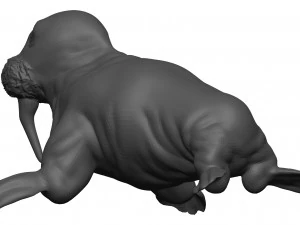 Walrus 3D Model