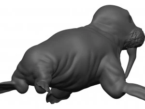 Walrus 3D Model