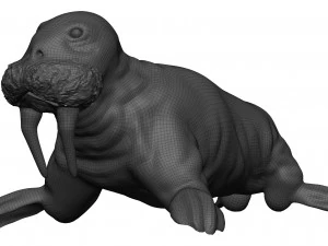 Walrus 3D Model