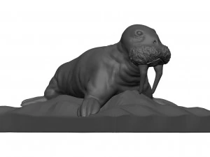Walrus 3D Model