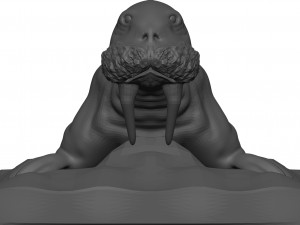 Walrus 3D 모델