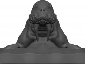 Walrus 3D Model