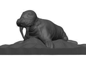 Walrus 3D Model
