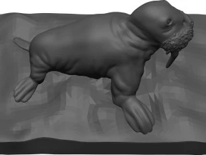 Walrus 3D Model