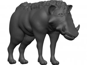 Phacoch&egrave;re Modèle 3D