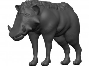 Warthog 3D Model