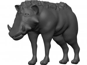 Warthog 3D Model