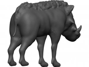 Warthog 3D Model